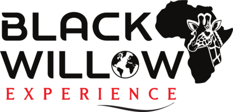 Black Willow